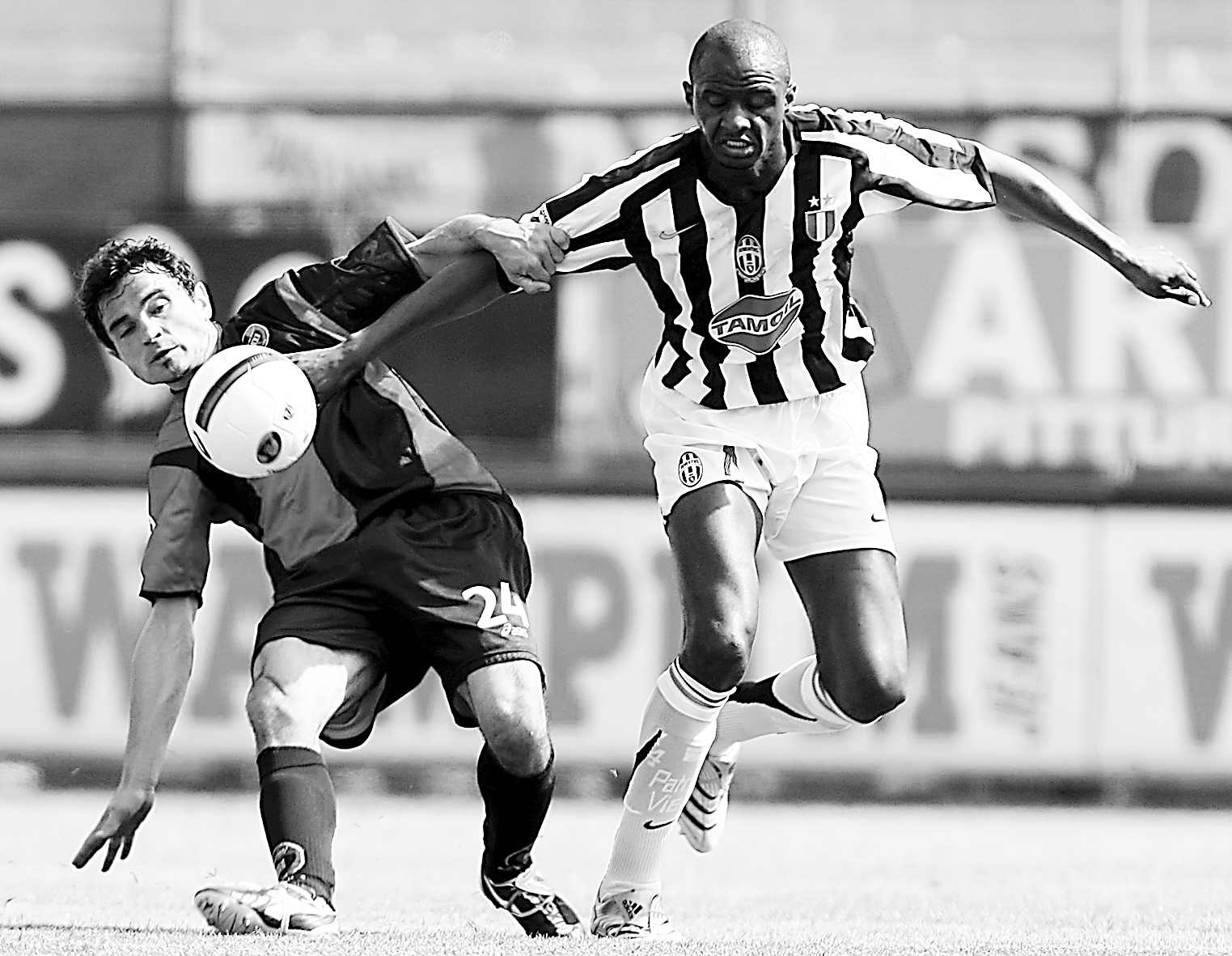 西蒙尼近日 西蒙尼近日